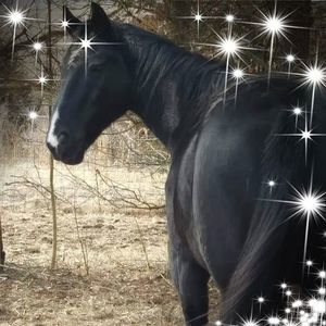 Meet your Posher, Aimee